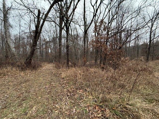 Land for sale in Bloomfield, Indiana