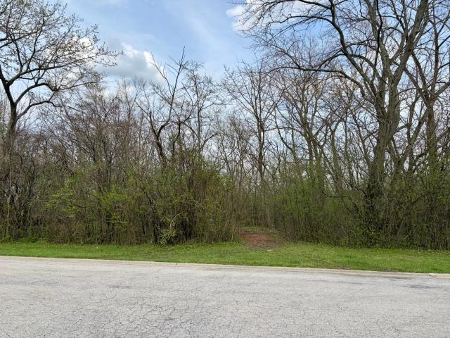 Land for sale in Illinois