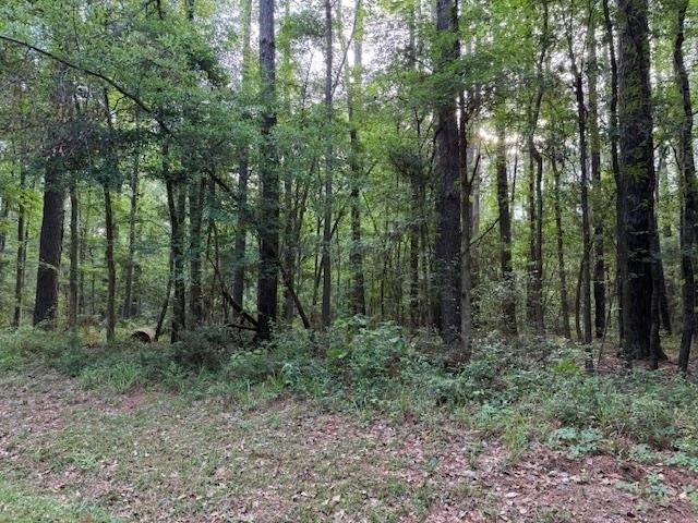 Land for sale in Sabine, Texas