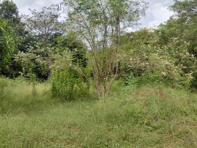 Land for sale in Ehlanzeni, Mpumalanga