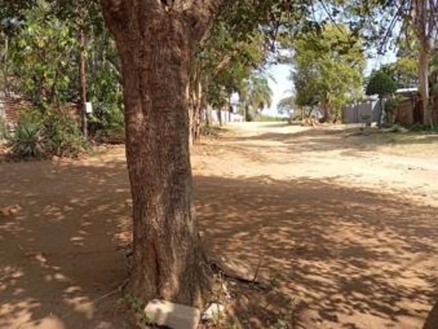 Land for sale in Ehlanzeni, Mpumalanga