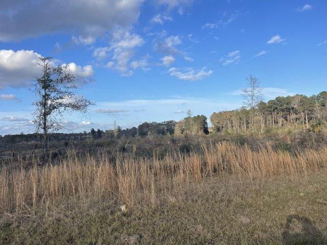 Farm for sale in Bassfield, Mississippi