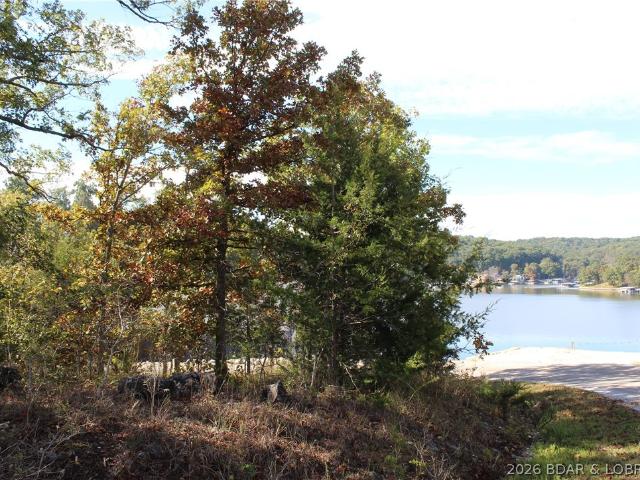 Land for sale in Gravois Mills, Morgan County