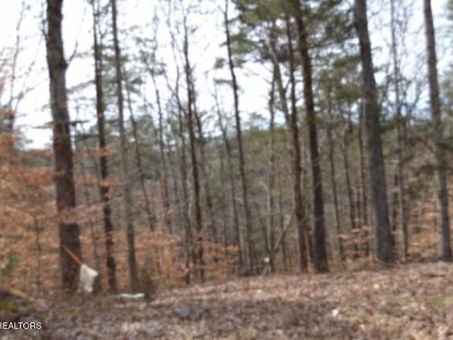 Land for sale in Tennessee
