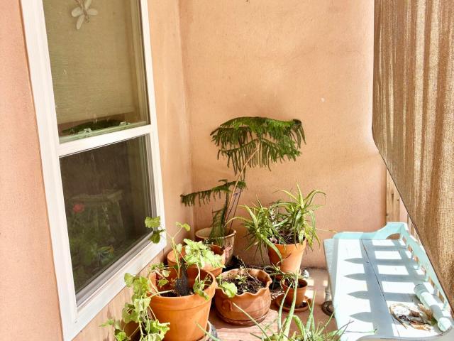 House for sale in New Mexico