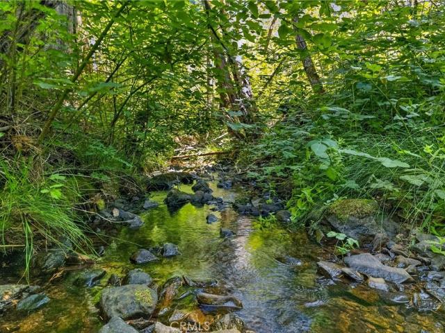 Land for sale in Butte, California