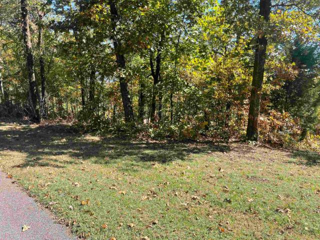 Land for sale in Eastport, Iuka