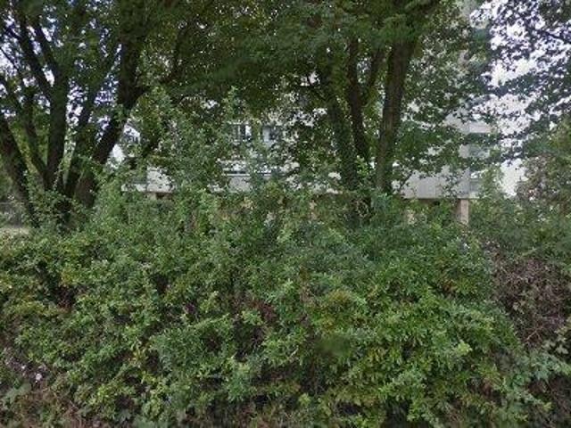 Apartment mieten in Birsfelden, Basel-Landschaft