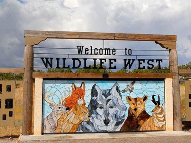 Land for sale in Edgewood, Santa Fe County