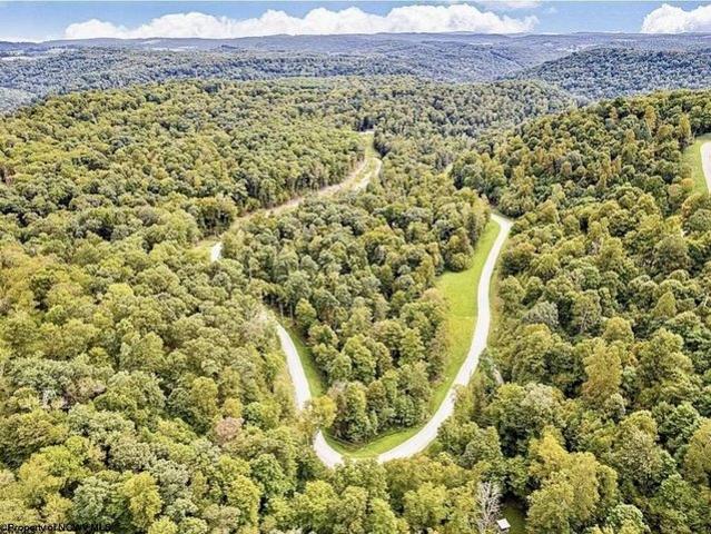 Land for sale in Bruceton Mills, West Virginia