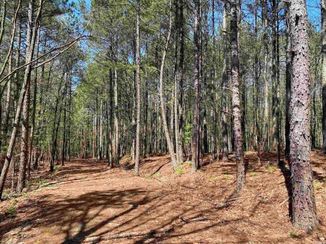 Land for sale in Ark
