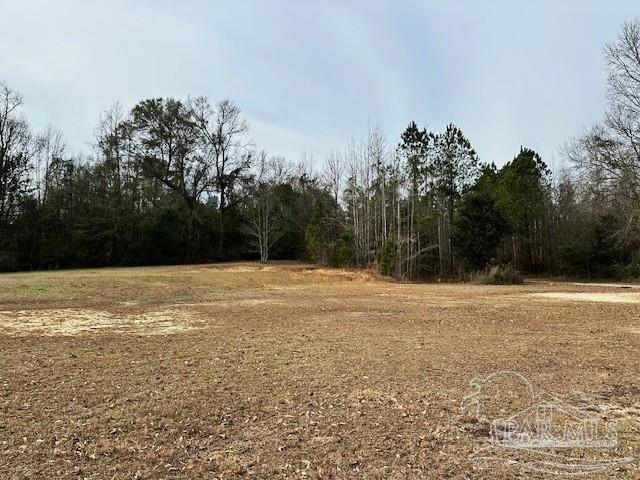 Land for sale in Century, Florida