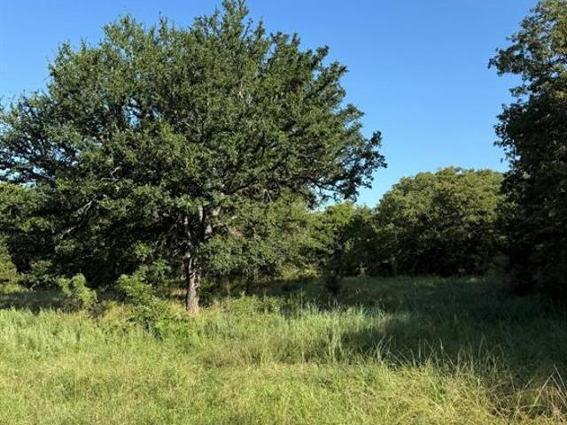 Land for sale in Montague, Texas