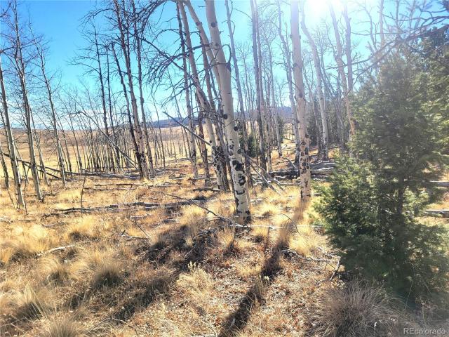 Land for sale in Hartsel, Colorado