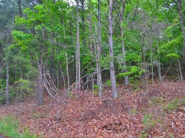 Land for sale in Soddy-Daisy, East Tennessee