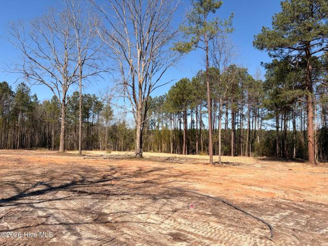 Land for sale in Carrboro, North Carolina