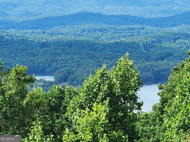 House for sale in Hiawassee, Towns County