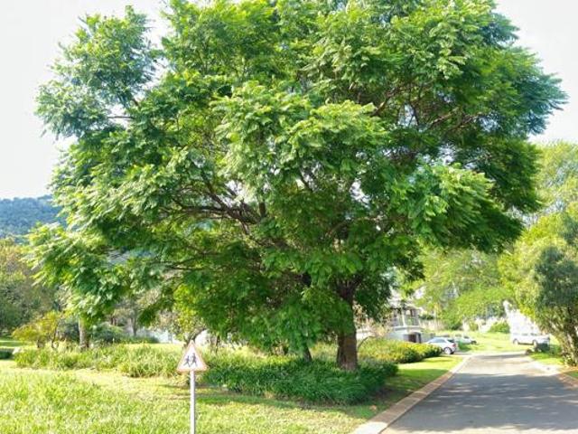 Land for sale in North West