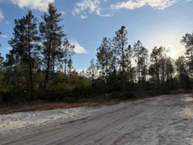 Land for sale in Pierson, Florida
