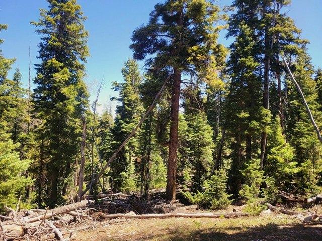 Land for sale in Duck Creek Village, Utah