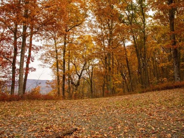 Land for sale in White Sulphur Springs, West Virginia