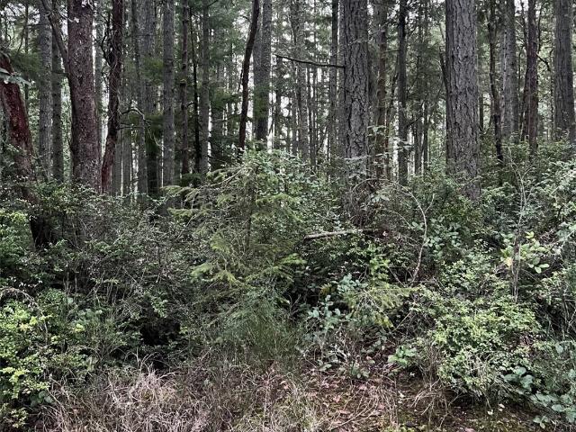 Land for sale in Anderson Island