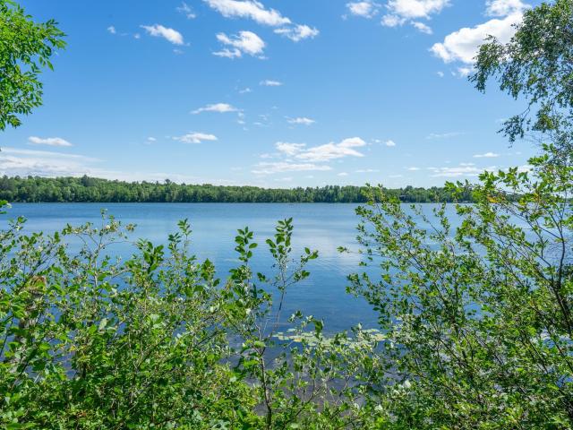 House for sale in Minnesota
