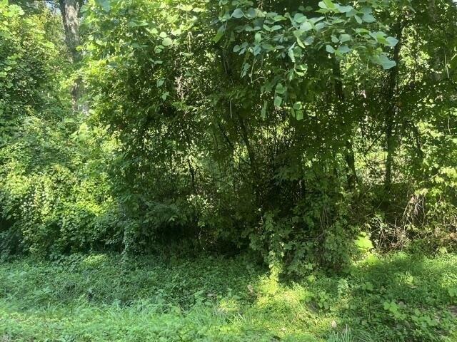 Land for sale in Tennessee