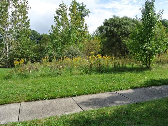 Land for sale in Stonegate, Streetsboro