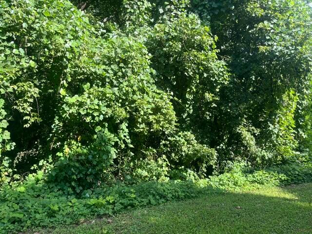 Land for sale in Tennessee