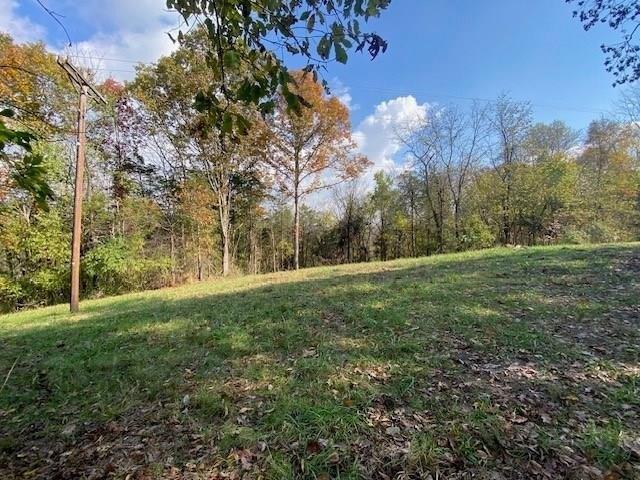 Farm for sale in Brooksville, Bracken County
