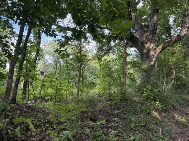 Land for sale in Brooksville, Bracken County
