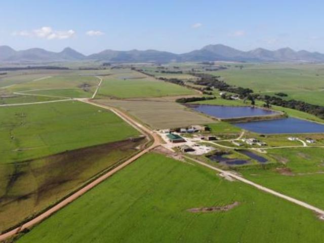 Land for sale in Cape St Francis, Eastern Cape
