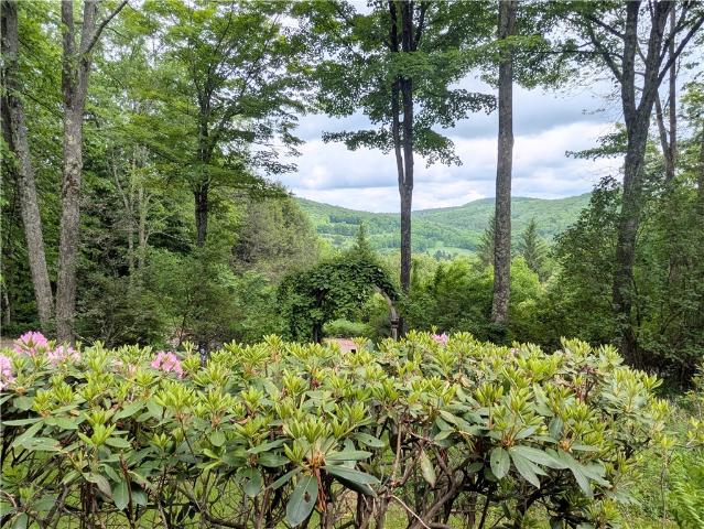 House for sale in Bloomville, New York