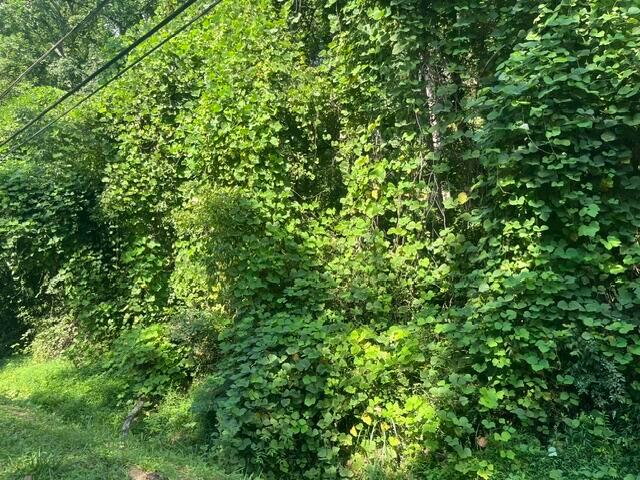 Land for sale in Tennessee