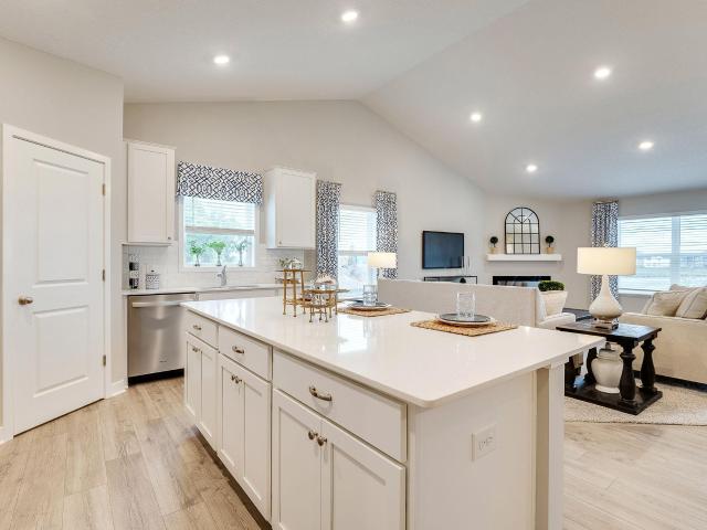House for sale in Cottage Grove, Minnesota