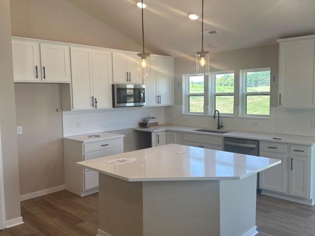 House for sale in Cottage Grove, Minnesota