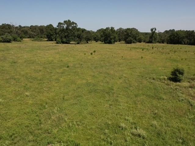 Land for sale in Walker, Texas