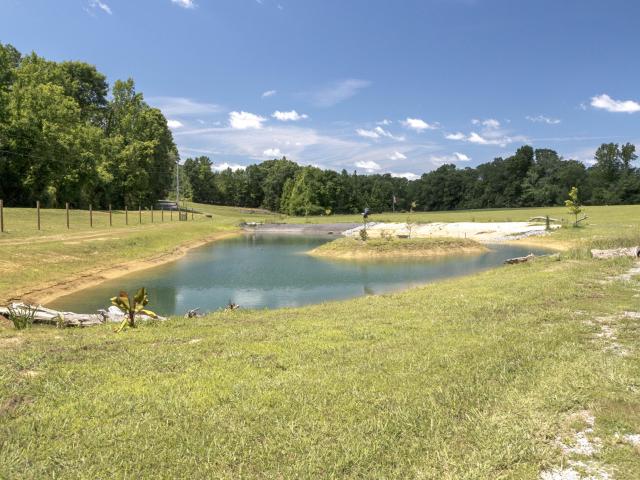 Land for sale in Tennessee
