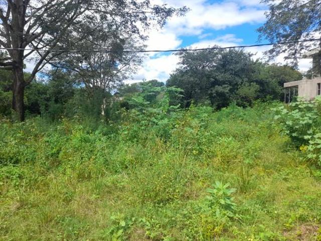 Land for sale in Ehlanzeni, Mpumalanga