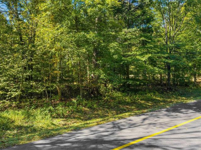 Land for sale in Nellysford, Nelson County