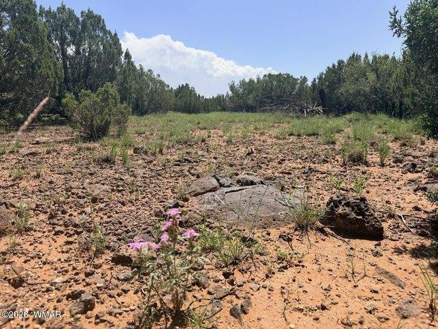 Land for sale in Navajo, Arizona