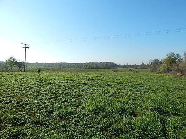 Land for sale in Hillsdale, Michigan