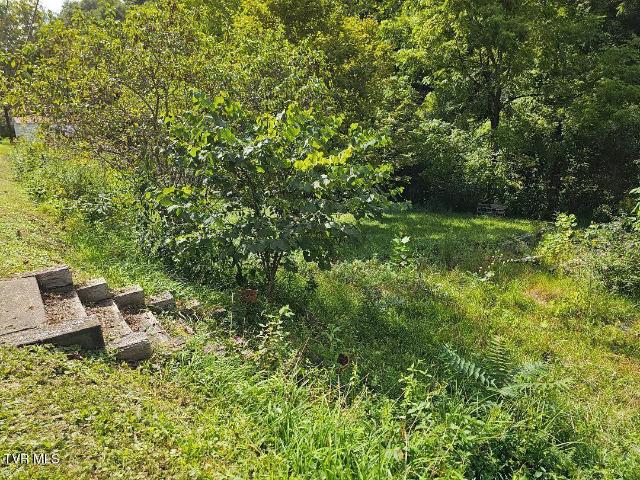 Land for sale in Virginia