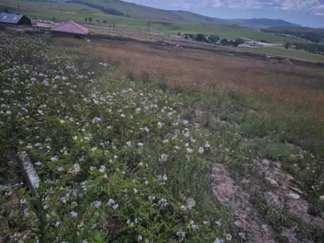 Land for sale in Kokstad, Kwazulu-natal