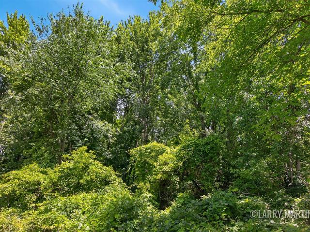 Land for sale in Michigan