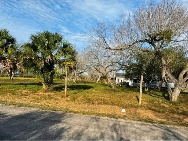 Land for sale in Bee, Texas