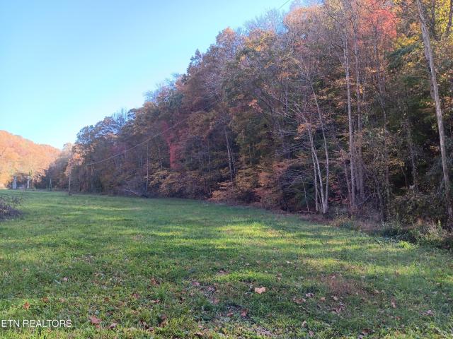 Land for sale in Tennessee