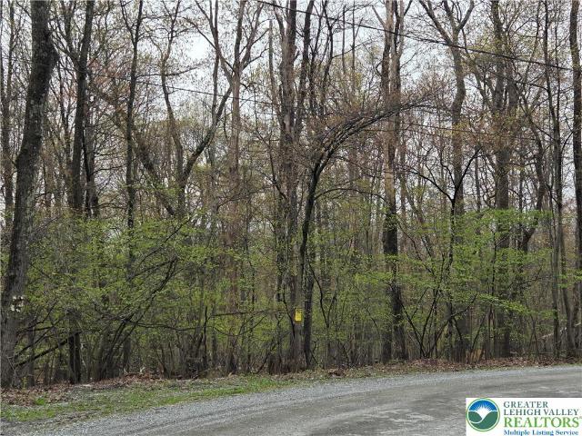 Land for sale in Lehigh, Pennsylvania