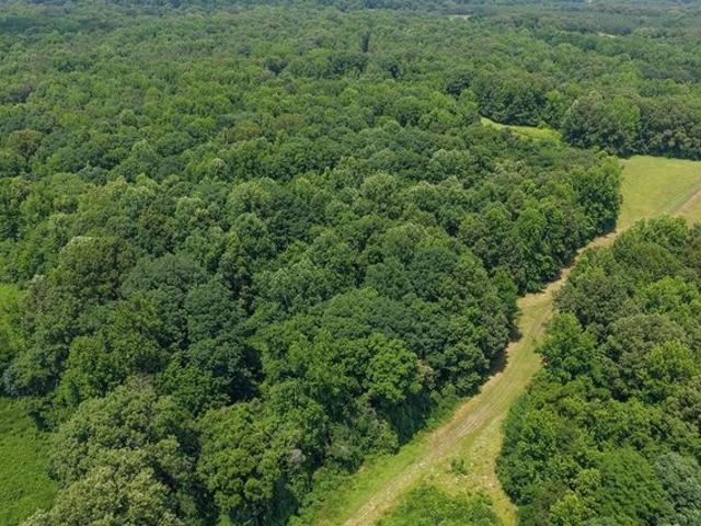 Land for sale in Crenshaw, Mississippi
